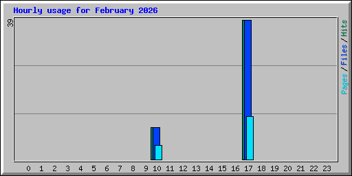 Hourly usage for February 2026