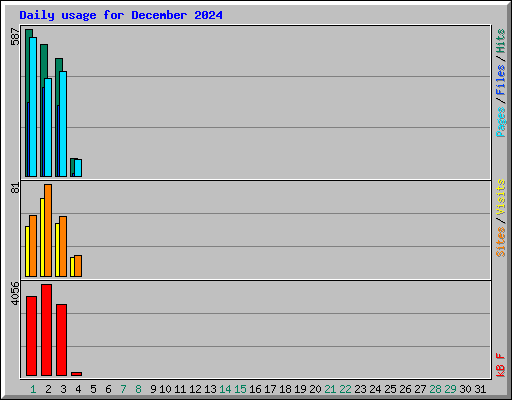 Daily usage for December 2024