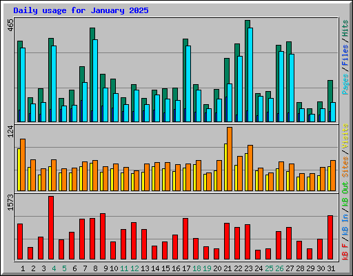 Daily usage for January 2025