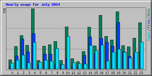 Hourly usage for July 2024