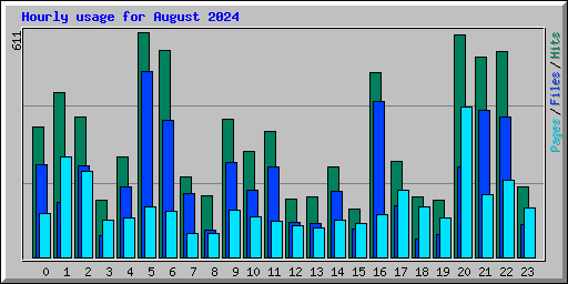 Hourly usage for August 2024