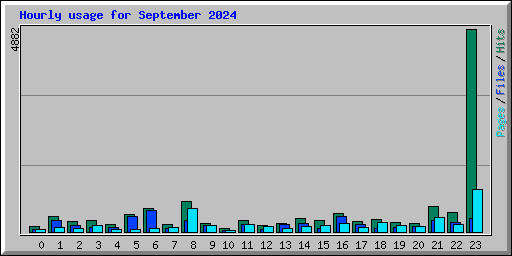 Hourly usage for September 2024