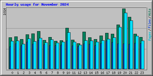 Hourly usage for November 2024