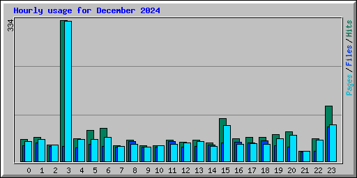 Hourly usage for December 2024