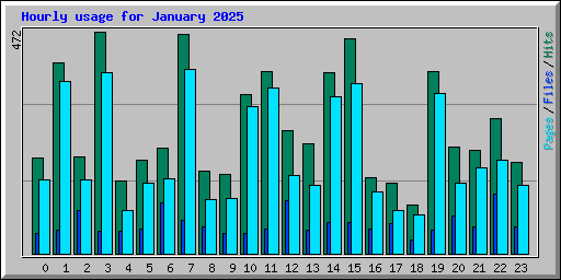 Hourly usage for January 2025