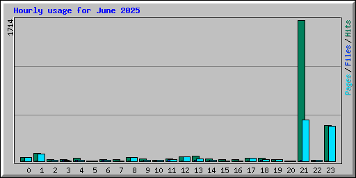 Hourly usage for June 2025