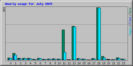 Hourly usage for July 2025