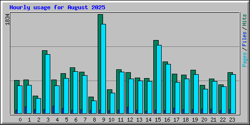 Hourly usage for August 2025