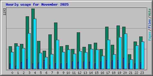 Hourly usage for November 2025