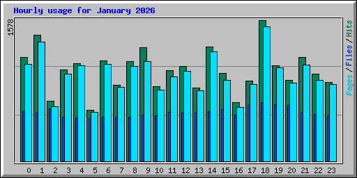 Hourly usage for January 2026