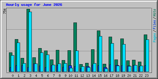 Hourly usage for June 2026