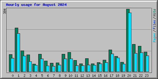 Hourly usage for August 2024