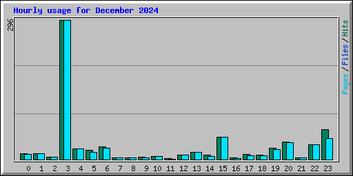 Hourly usage for December 2024