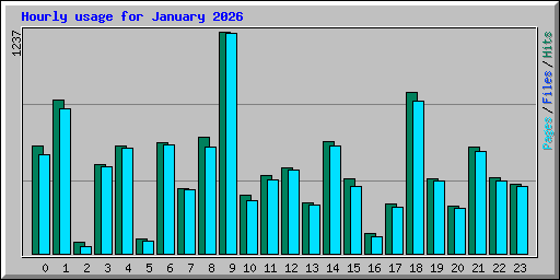 Hourly usage for January 2026