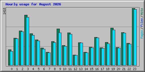 Hourly usage for August 2026